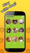 Dog Teaser screenshot 1
