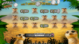 Flamingo Safari Slots screenshot 8
