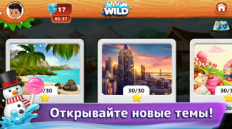 WILD! Карточные игры онлайн screenshot 15