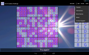 16x16 Sudoku Challenge HD screenshot 2