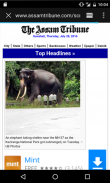 News Portal Assam screenshot 1