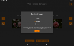 VES - Image and Photo Compare screenshot 23