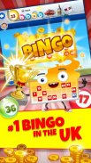 Loco Bingo - BINGO مجانا screenshot 3