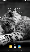 Snow Leopard Live Wallpaper screenshot 0