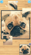 Dog Jigsaw Puzzle screenshot 4