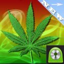 GO Locker Theme WEED GANJA Icon