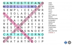 Puzzle parole intrecciate screenshot 14