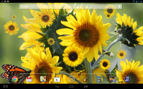 Sunflower Live Wallpaper screenshot 2