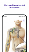 Daily Anatomy: Flashcard Quizzes to Learn Anatomy screenshot 8