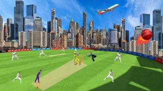 world cup 3d Cricket Bat Games screenshot 2