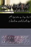 sad urdu poetry shayari screenshot 0