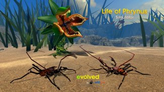 Life of Phrynus - Whip Spider screenshot 4