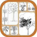 Learn to Draw Trees Icon