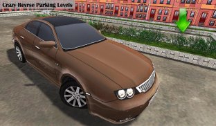 Membalik Mobil Parkir Sim 3D screenshot 13