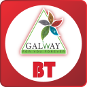 Galway BT Icon