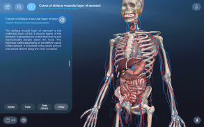 AR Anatomy screenshot 14