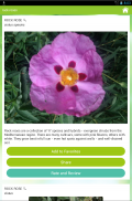 Garden Answers Plant Identifier screenshot 3