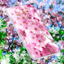 Sakura Flower Live Wallpaper