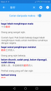 Peribahasa dan Simpulan Bahasa screenshot 0