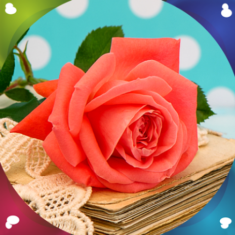 Bunga Mawar Wallpaper Hidup 1 5 Unduh Apk Untuk Android