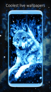 Ice Fire Wolf Wallpapers screenshot 3