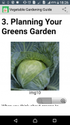 Vegetable Gardening Guide screenshot 6