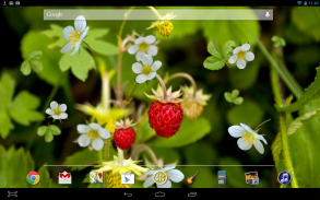 Forest Berry LWP screenshot 2