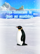 Penguin Pet screenshot 7