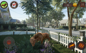 Dachshund Dog Simulator screenshot 15