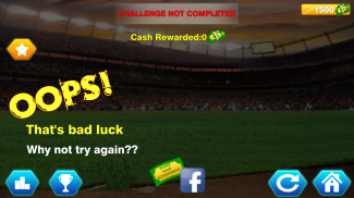 BaseBall Challenge Game - 2017 screenshot 6
