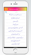 Shahnama e Islam Hafeez screenshot 1