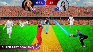 world cup 3d Cricket Bat Games screenshot 5