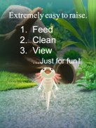 Axolotl Pet screenshot 4