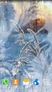 Winter Landscapes Wallpaper screenshot 2