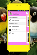 Lovebird screenshot 1