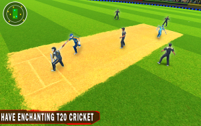 T20 cricket championship - cricket games 2020 screenshot 2