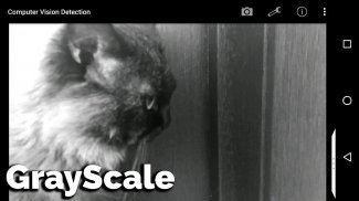 Computer Vision Detection screenshot 4
