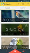 पक्षी रिंगटोन लगता है screenshot 0