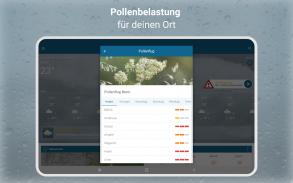 RegenRadar mit Unwetterwarnung screenshot 6