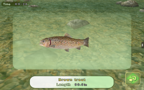 3D 假蠅釣魚 screenshot 5