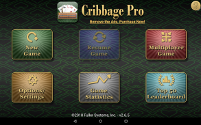 Cribbage Pro screenshot 13