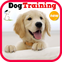 Dog Training