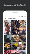 Story Saver App - Stories & Highlights Downloader screenshot 2