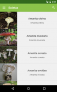 Boletus Lite - mushrooms screenshot 1