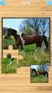 Horse Jigsaw Puzzle screenshot 7