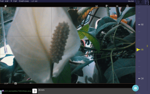 Magic Nikon ViewFinder screenshot 9