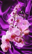 Orchids live wallpaper screenshot 0