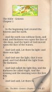 Old Testament, the Holy Bible screenshot 4