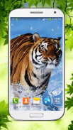 Tiger Live Wallpaper HD screenshot 1