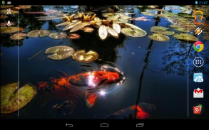 Koi Fish in the Pond screenshot 0